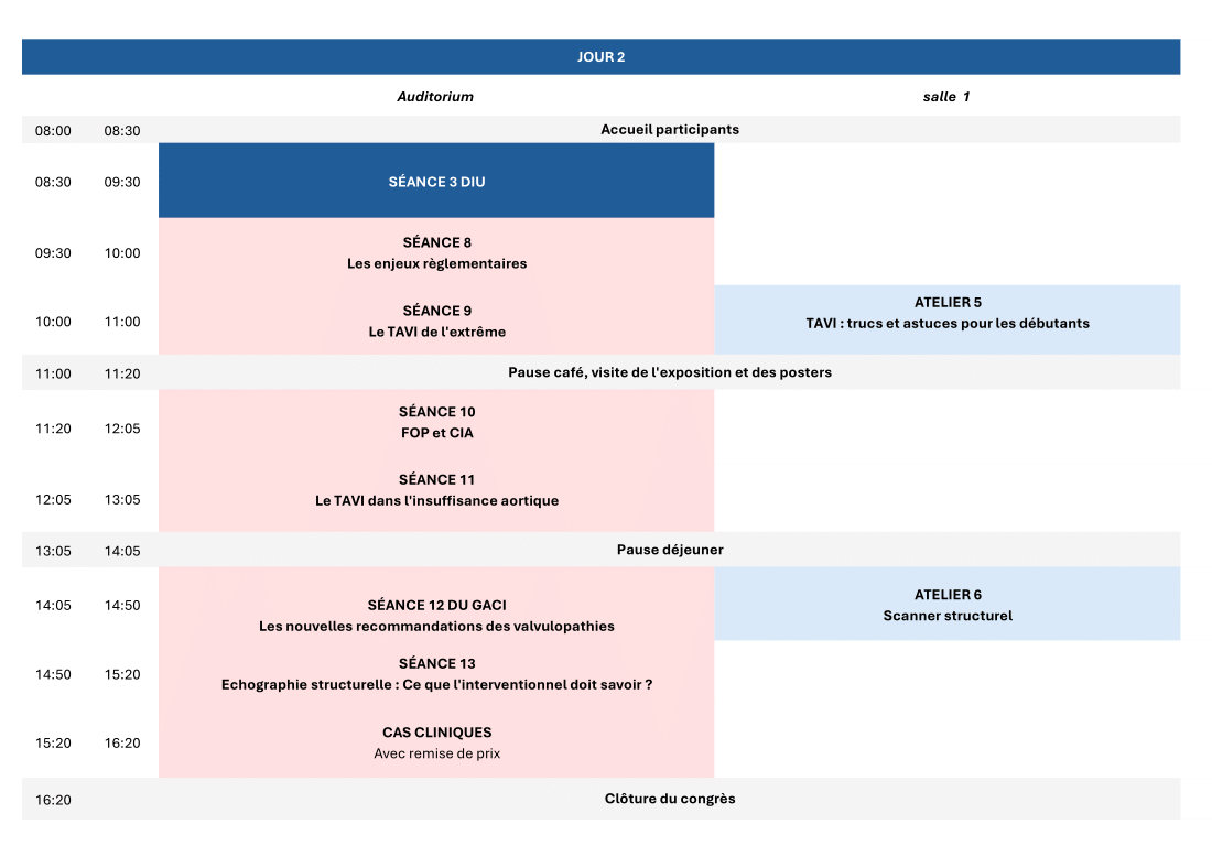 Francophone_2025_-_Programme_synoptique_simplifié_jour_2_v2.png